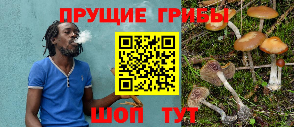 Галлюциногенные грибы прущие грибы Отрадное