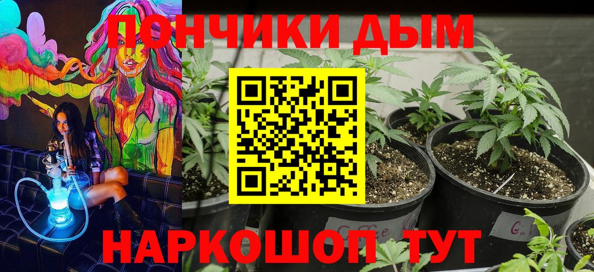 Каннабис LSD WEED Отрадное